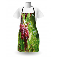 Bunch of Wine Fruits Foliage Apron