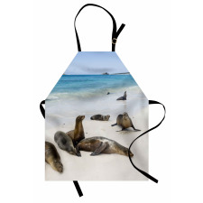 Galapagos Island Sea Lions Apron