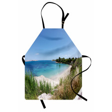 Panoramic Sandy Coastline Apron