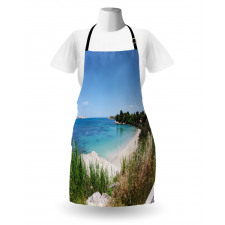 Panoramic Sandy Coastline Apron