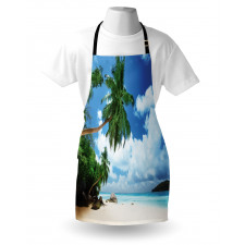 Beach on Mahe Island Apron