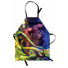 Close up Photo with Kelp Apron