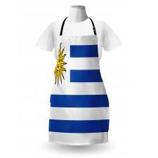 Simple Stripes and Sun Flag Apron