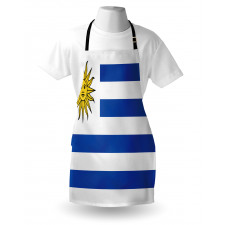 Simple Stripes and Sun Flag Apron