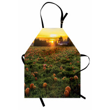 Fall Patch at Sunset Apron