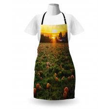 Fall Patch at Sunset Apron