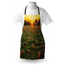 Fall Patch at Sunset Apron