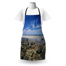 Plum Island Beach Apron