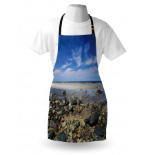 Plum Island Beach Apron