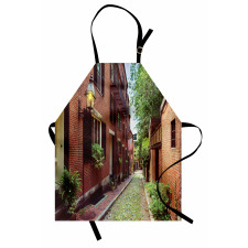 Historic Acorn Street Apron