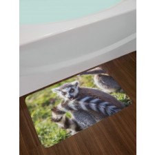 Ring Tailed Funny Expression Bath Mat