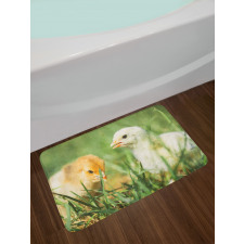 Close up Photo Baby Chickens Bath Mat