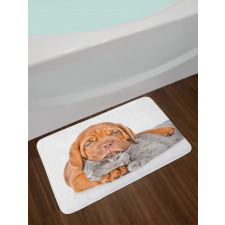 Sad Bordeaux and Kitten Bath Mat