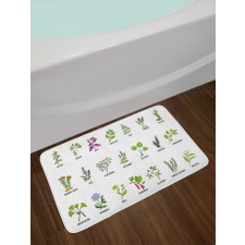 Educational Herbs Design Bath Mat