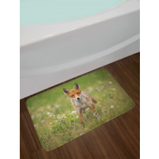 Young Curious Coyote Animal Bath Mat