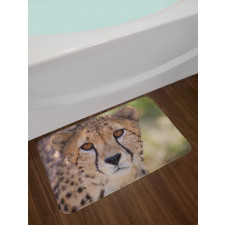 Spring Scenery in Alps Bath Mat