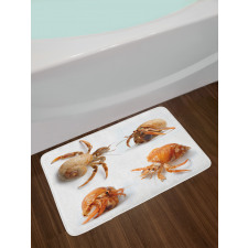 Hermit Crabs Pattern Bath Mat