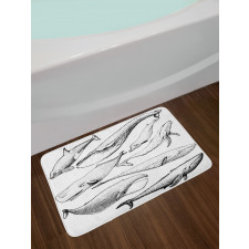 Hand Drawn Single Whale Bath Mat