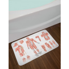Biology Human Medical Bath Mat