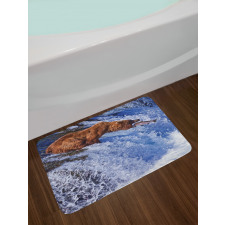 Grizzly Bear at Katmai Bath Mat