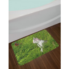 Cat and Butterfly Bath Mat