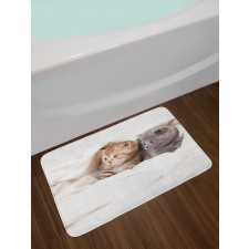 Scottish Fold Kittens Bath Mat