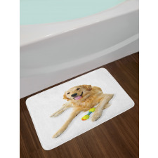 Pet Dog Toy Bath Mat