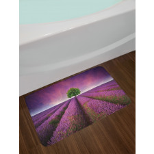 Lavender Fields and Tree Bath Mat