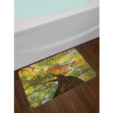 Autumn Tree of Nature Photo Bath Mat