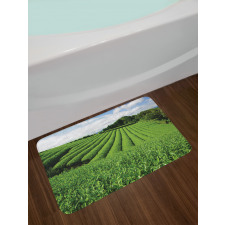 Sunny Landscape Tea Fields Bath Mat