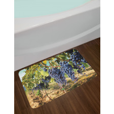 Rows of Wine Fruits in Italy Bath Mat