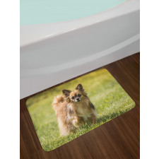 Long Haired Small Dog Bath Mat