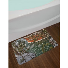 Lake Superior Winter Side Bath Mat