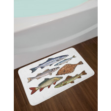 Drawn Various Species of Fish Bath Mat