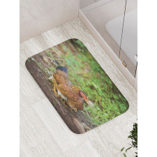 Chicken on Babies Bath Mat