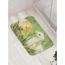 Close up Photo Baby Chickens Bath Mat