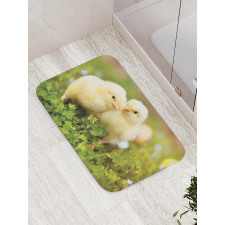 Baby Chickens Photo Bath Mat