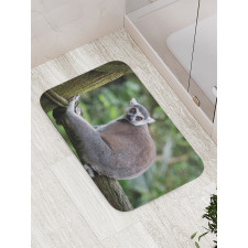 Photo of Madagascar Mammal Bath Mat