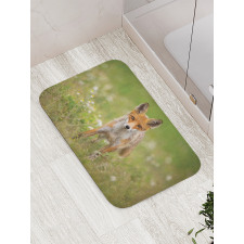 Young Curious Coyote Animal Bath Mat