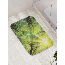 Romantic Beech Trees Bath Mat