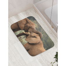 Safari Animals Savanna Bath Mat