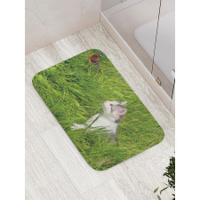 Cat and Butterfly Bath Mat