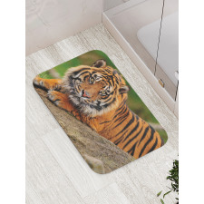 Tiger Crouching on Rock Bath Mat