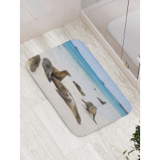 Galapagos Island Sea Lions Bath Mat