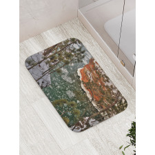 Lake Superior Winter Side Bath Mat