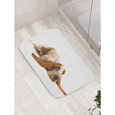 Long Eared Dog Bath Mat