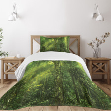 Sun Beams Tropic Forest Bedspread Set