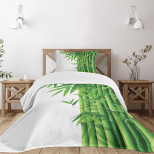 Modern Bamboos Stems Bedspread Set