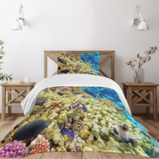 Sea Exotic Natural View Bedspread Set