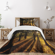 Summertime Forest Tree Bedspread Set